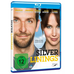 Blu Ray - Silver Linings (Gebraucht)
